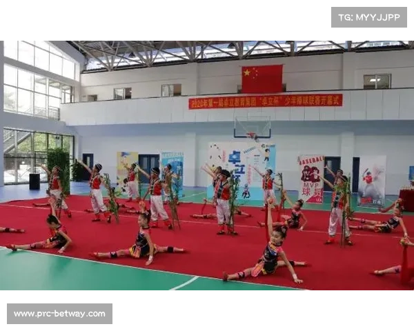 国际棒联主席高度评价中国棒球发展潜力与未来前景 国际棒联主席高度评价中国棒球发展潜力与未来前景